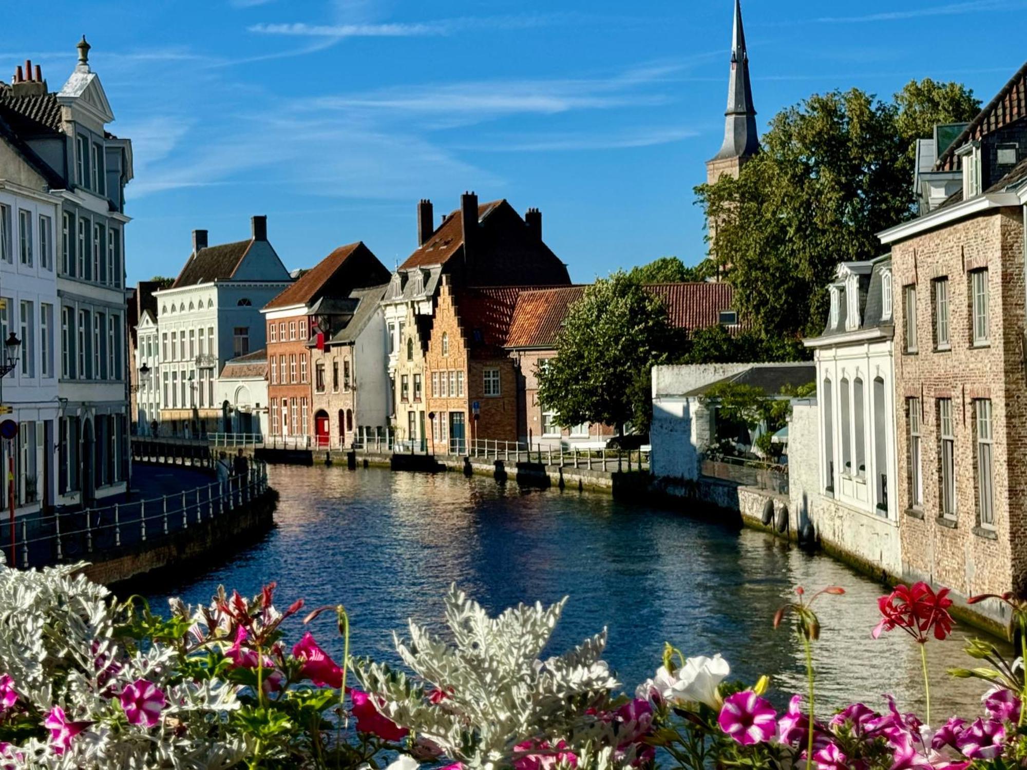 Sleeping Swan Bed & Breakfast Brugge Ngoại thất bức ảnh