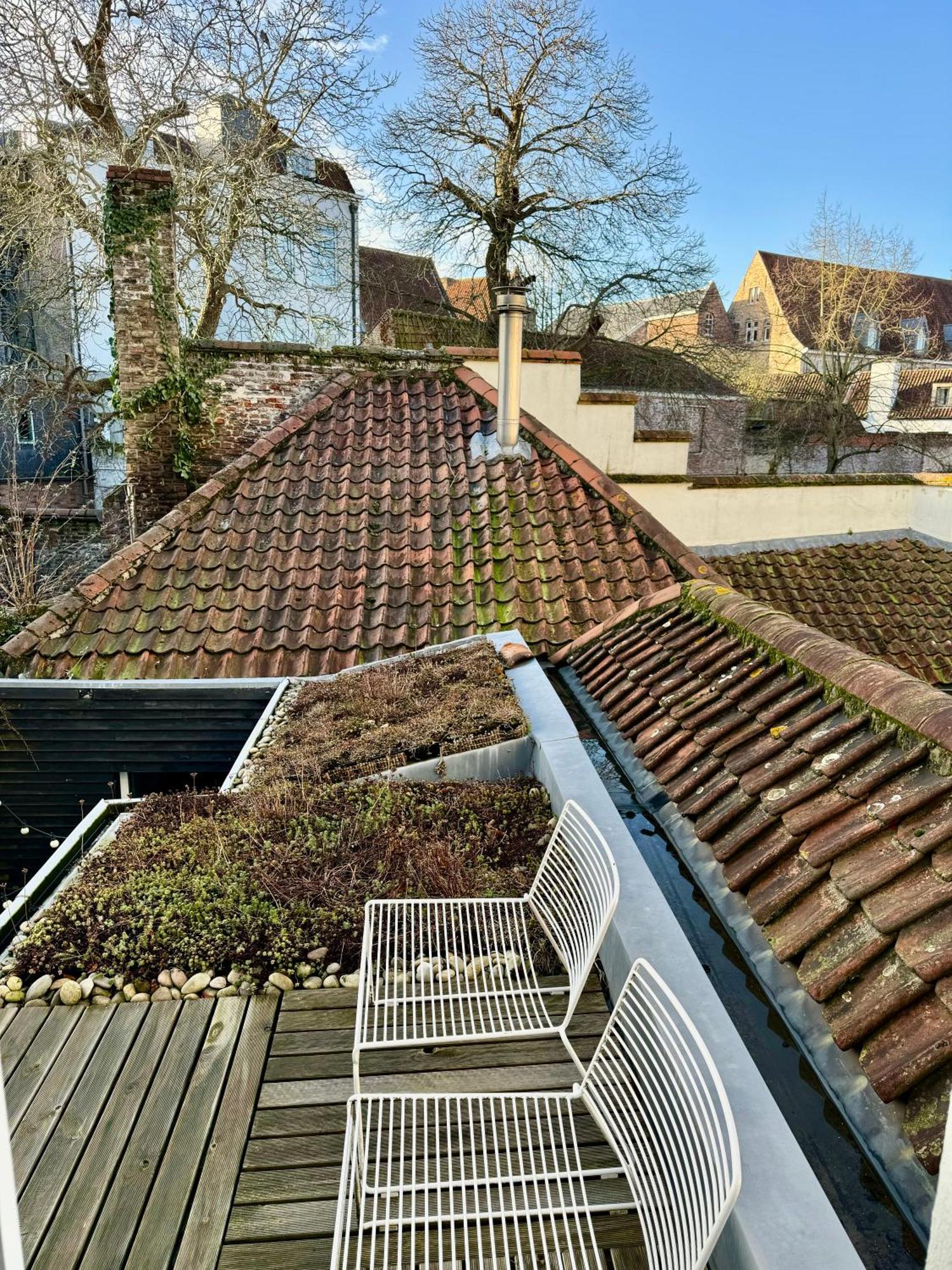 Sleeping Swan Bed & Breakfast Brugge Ngoại thất bức ảnh